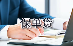 怀化保单贷